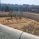 서림 행정사사무소 이미지