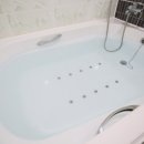 블러썸스파펜션 이미지