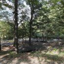 학가산우래자연휴양림 이미지