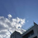 데스커 워케이션 가든 이미지