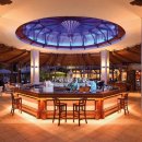 산드라니 이미지