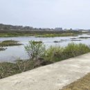 북영천역 옹벽 벽화 이미지