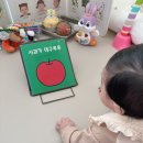 [육아책 후기] 『사과가 데구루루』 – 아기와 함께 소리에 반응하며 읽는 첫 그림책