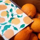 수복농장 이미지