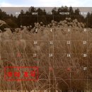 이안안경 이미지