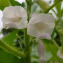 카이스트 세종관 이미지