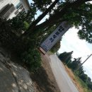 제주밥보장터 이미지