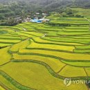 사포마을 이미지