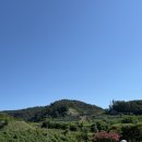 양남농장 | 경주 양남 카페 | 넓은 잔디에 오프리쉬가 가능한 애견동반 카페 [텀즈]