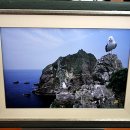 섬진강문화학교 독도사진전시관 이미지