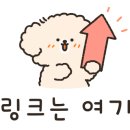 디어오렌지(dear orange)