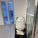 썬바다횟집 | 정동진 오션뷰 썬크루즈 횟집 솔직후기 및 알아야 할 정보 [어국횟집]