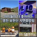 영천 여행] 보현산 자연휴양림 숲속의집 15번 투숙 & 짜릿했던 VR 체험 후기