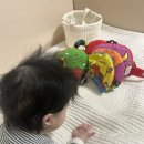 야무진세탁 | 블루래빗 코야 헝겊책, 아기가 반한 국민템 장난감 사용시기 세탁방법