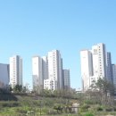 위례114공인중개사사무소 이미지