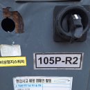 Lot Vacuum Dura Dry 105 Pump, 모델명 DD105은 진공 펌프 이미지