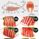 참치라이더 이미지