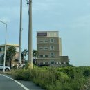 아침요가 | 제주 취다선리조트 요가 프로그램, 아침 조식 , 숙소 후기