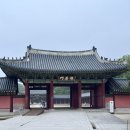 달빛꽃담 | [서울] 창덕궁 달빛기행 / 비오는 날 관람 후기
