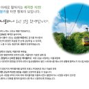 25년8월28일 대구(옥연지 송해공원+팔공산 케이블카), KBS 만남의숲 07시 출발 , 회비 75,000원 이미지