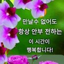 전주 송광사 벚꽃 축제 철수 했습니다 ~~~ 이미지