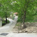 운수2리 이미지