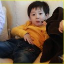 신토불이 이미지