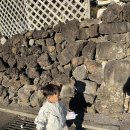 별방으로의 산책 이미지