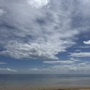 소리-Bright  | 멜번 바닷마을 감성 가득한 Black Rock 동네 산책 후기 힐링이 필요할 때 꼭 가봐야 할 곳