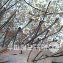 사직2동-26 이미지