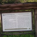 황금소나무집 Daum카페