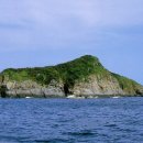 제주 사수도 바닷새류(흑비둘기,슴새)번식지 이미지