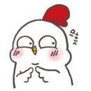 제이코노코노