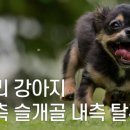 대전종합동물병원 이미지