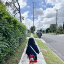 (주)푸하하닷컴 | 두번째 골드코스트 여행, Jw Marriot resort Gold coast(Jw 메리어트 골코), 미소노(테판야끼)