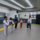 백호태권도장 이미지