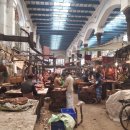 소이네 닭장 이미지