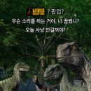 스타컴퍼니 | 2026 3월_ 림버스 컴퍼니 더현대 팝업 첫날 후기