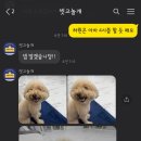 씻고놀개 이미지