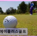 에이플러스골프