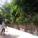 파도랑별이랑 이미지