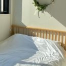 다미아가구 이미지