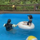 오이코스테이 이미지