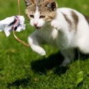 고척원동물의료센터 이미지