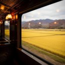 일과여행주 | 🚄 해랑열차 커플 여행 후기 | 일과 사랑, 그리고 잠시의 쉼 🌙