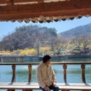 현천회관 | 구례산수유꽃축제 고즈넉한 분위기의 산수유마을 현천마을 가는법 현천마을 주차