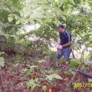 신덕농장 이미지