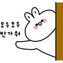 NAIL LEE(네일 리)