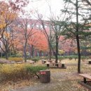 동산자연유치원 이미지