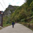 주왕산시외버스터미널 이미지